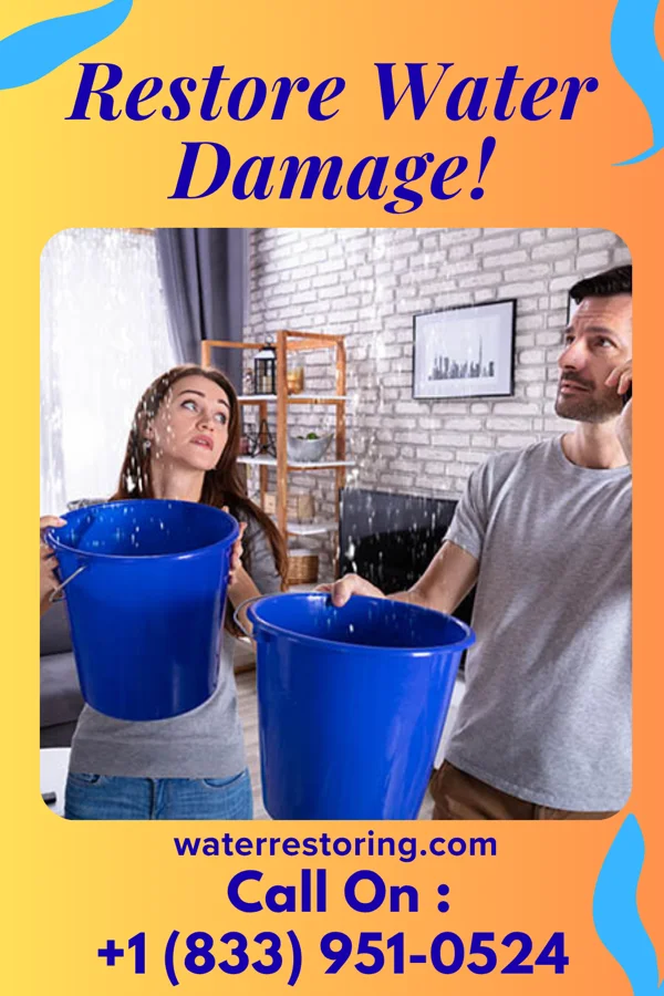 water restoration Royal Water Repair LLC Brodheadsville